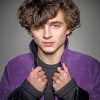 Timothee Hal Chalamet Paint by numbers