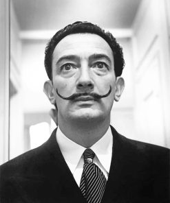 Dali Portrait Paint by numbers