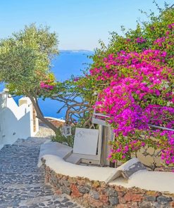 Santorini Greece Pink Flowers Paint by numbers