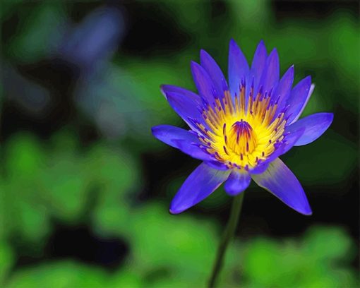 Blue Yellow Lotus Flower Paint by numbers