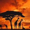 Giraffes Silhouette Sunset Paint by numbers