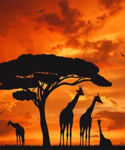 Giraffes Silhouette Sunset Paint by numbers