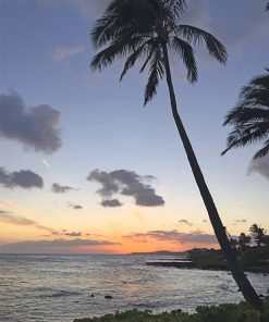 Palm Trees Paint by numbers