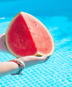 Pool Watermelon Paint by numbers