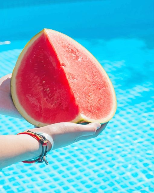 Pool Watermelon Paint by numbers