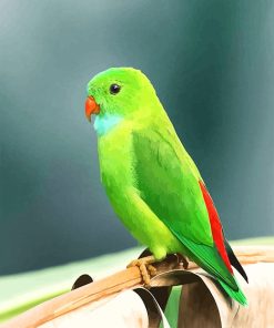 Beautiful Green Parrot NEW paint by number