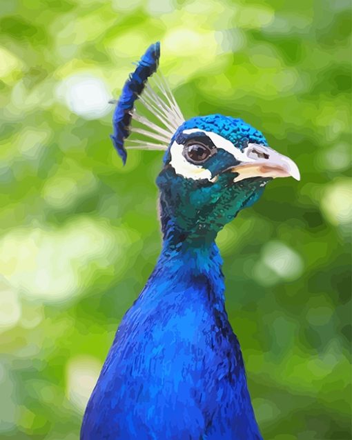 Blue Peacock Portrait NEW paint by number