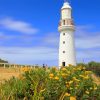 Cape Otway Lightstation Lighthouse Australia adult paint by numbers