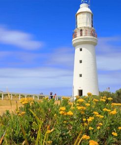 Cape Otway Lightstation Lighthouse Australia adult paint by numbers