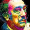 Colorful salvador dali portrait adult paint by numbers