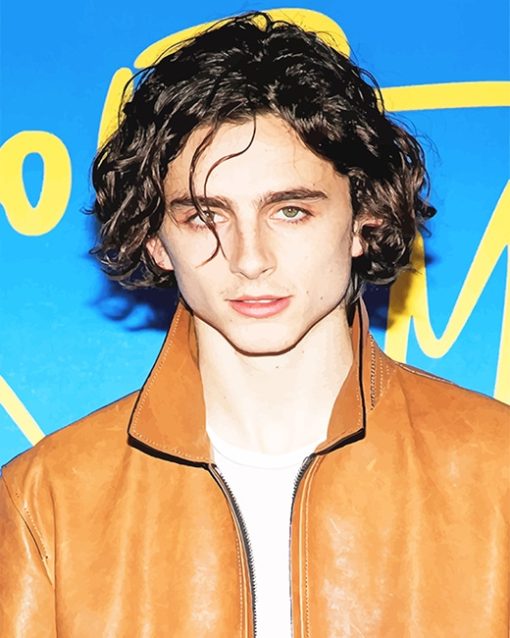 Cute Timothée paint by number