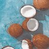 Fresh Coconut adult paint by numbers