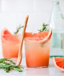 Grapefruit Cocktail adult paint by numbers