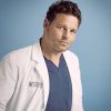 Greys Anatomy Alex Karev adult paint by numbers