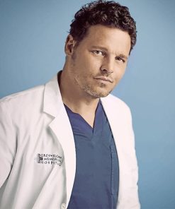 Greys Anatomy Alex Karev adult paint by numbers