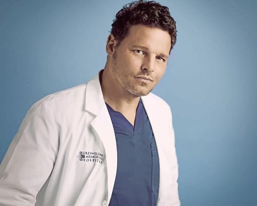 Greys Anatomy Alex Karev adult paint by numbers