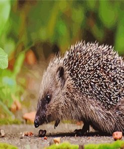 Hedgehog paint by number