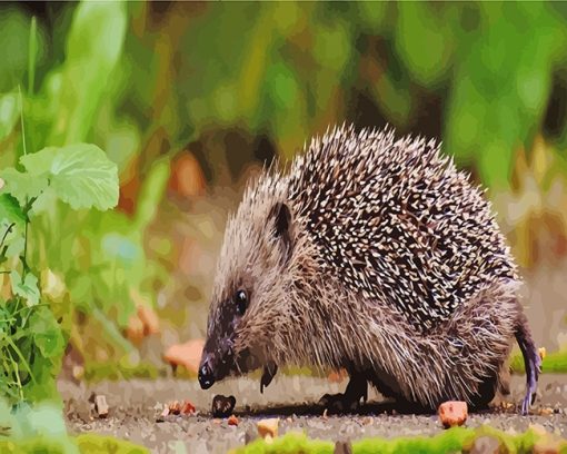 Hedgehog paint by number