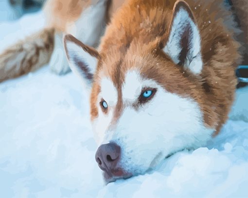 Brown Husky paint by number