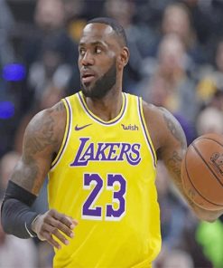 Lebron james Lakers player adult paint by number