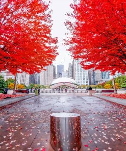 Millennium Park Chicago paint by number