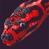 Red and black python adult paint by numbers