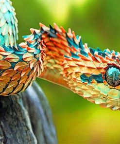 Spin Bush Snake adult paint by numbers