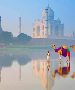 Taj mahal india landscape adult paint by numbers