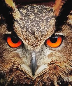 Red Owl Eyes Paint by number