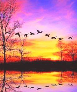 Waterfowl sunset adult paint by numbers