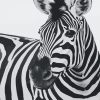 Zebra Black and White adult paint by number