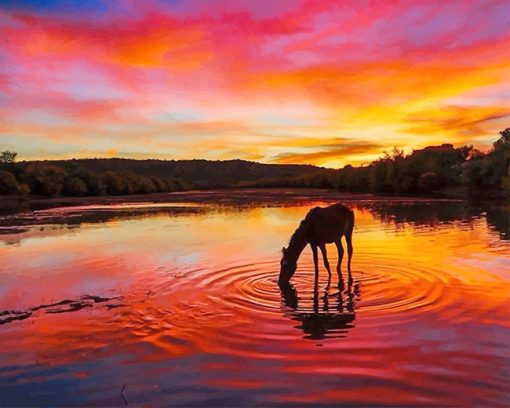 Arizona Amazing Sunset paint by number