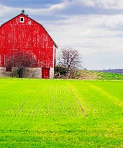 Barn Green Field paint by number