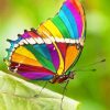 Beautiful Rainbow Butterfly paint by number