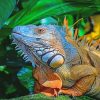 Rainbow Iguana paint by number