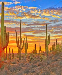 Cactus Arizona Desert paint by number