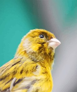 Canary Bird Portrait NEW PAINT BY NUMBER