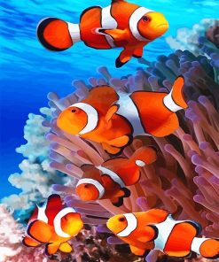 Colorful Clown-fish paint by number