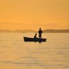 Couple Boat Silhouette Paint by numbers