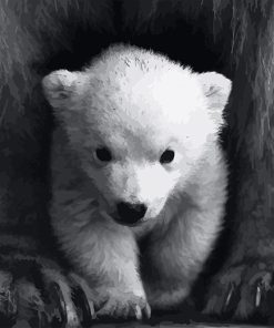 Cute Little White Bear