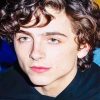 Cute Timothee Chalamet Paint by numbers