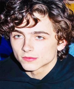 Cute Timothee Chalamet Paint by numbers