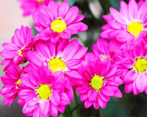 Pink Flowers