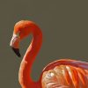 Pink Flamingo Bird Paint by number