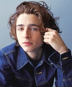 Handsome Timothée Chalamet paint by number