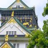 Japan Osaka Castle paint by number