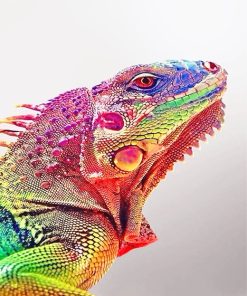 Rainbow Iguana paint by number