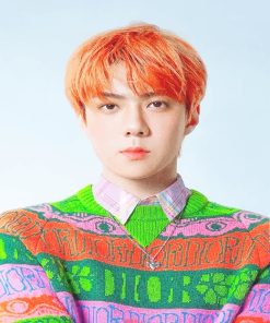 Orange Hair Oh Sehun Paint By Numbers