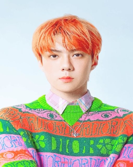 Orange Hair Oh Sehun Paint By Numbers