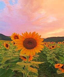 Aesthetic Sunflowers Paint By Flowers